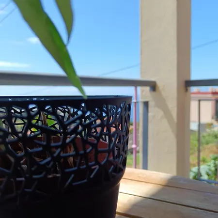 Peaceful Retreat Near Levadas * Arco da Calheta (Madeira)